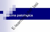 Sarcina Patologica Mircea Onofriescu E