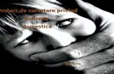 39383052 Raport Violenta Domestica
