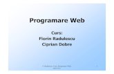 Programare web