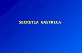 Secretia Gastrica - Ani Medicina 2009
