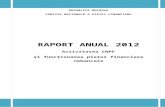 Raport Final 23.06.2013