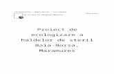 Proiect Ecologizare Halde Steril Baia-borsa