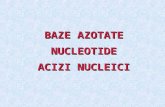 7. Baza Azotate. Acizi Nucleici