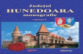Monografie Hunedoara