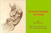 Curs 1 Ecomorfologie Animala Teorii