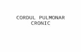 CORDUL PULMONAR CRONIC