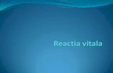 Reactia Vitala Online