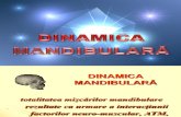 2007 Dinamica Mand