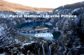 Parcul National Lacurile Plitvice Din Croatia