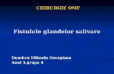 FISTULELE GLANDELOR SALIVARE