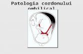 8 Patologia Cordonului Ombilical