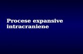 Procese expansive intracraniene