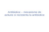 Antibiotice – mecanisme de actiune si rezistenta la.ppt
