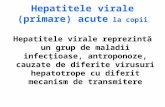 Hepatitele Virale (Primare) Acute La Copii