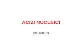 Structura acizi nucleici.ppt