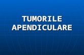 1.Curs Tumori apendiculare - Dr. Badiu.ppt