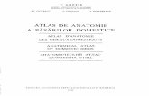 Atlas de Anatomie a Pasarilor Domestice (v. Ghetie)