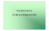 patologia tubului digestiv