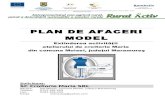 Model Plan de Afacere