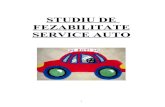 49849653 Studiu de Fezabilitate Service Auto