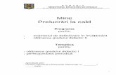 Mine, Prelucrari La Cald_def & Grad II (2000)