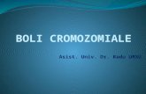 10 Curs Boli Cromozomiale
