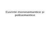 Cuvinte Monosemantice Si Polisemantice (1)