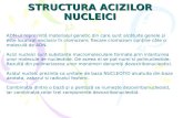 STRUCTURA ACIZILOR NUCLEICI