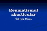 Curs Reuma Abart Dr. Gabi Udrea