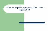 Fitoterapia Aparatului Uro-genital
