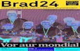 Brad 24 Numarul 14