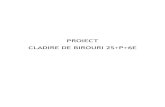 Proiect - Managementul Proiectelor.   S+P+3E - Bucuresti.