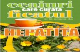 CARTE - Ceaiuri Care Curata Ficatul Si Spala Hepatita