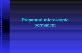 Preparatul Microscopic Permanent Lp2
