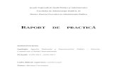 Raport Practica - Prescriptia Extinctiva