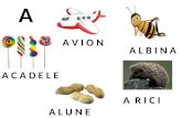 Invata literele alfabetului - Ateliere cu maniere