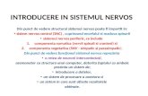 Introducere in Sistemul Nervos