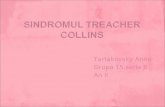 Sindromul Treacher Collins