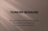 Morfopatologie-Tumori benigne