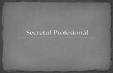 Secretul Profesional Rezi Apr 2013