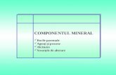 3.1. Partea Solida-componentul Mineral