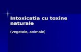 Intoxicatia Cu Toxine Naturale+