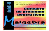 Algebra - Culegere de Probleme Pentru Liceu, Clasele IX-XII - C. NASTASESCU & C. NITA & M. Brandiburu & D. Joita