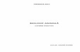 Biologie Animala PDF 1-3