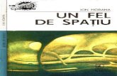 Ion Hobana - Un Fel de Spatiu [1988]