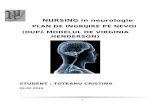 Plan de Nursing Neurologie PLAN de INGRIJIRE Cristinatoteanu Blogspot Com