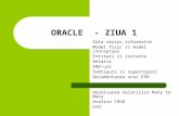 Oracle Ziua 1