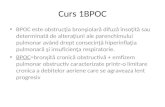 01 02.BPOC-Pneumonii-Pleurezii