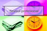 Stresul Profesional 2