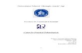 Caiet PRACTICA Tehnologica - Constructii Civile - An I